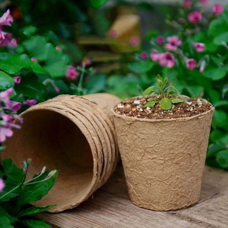 Paper Grow Pot Nursery Cup