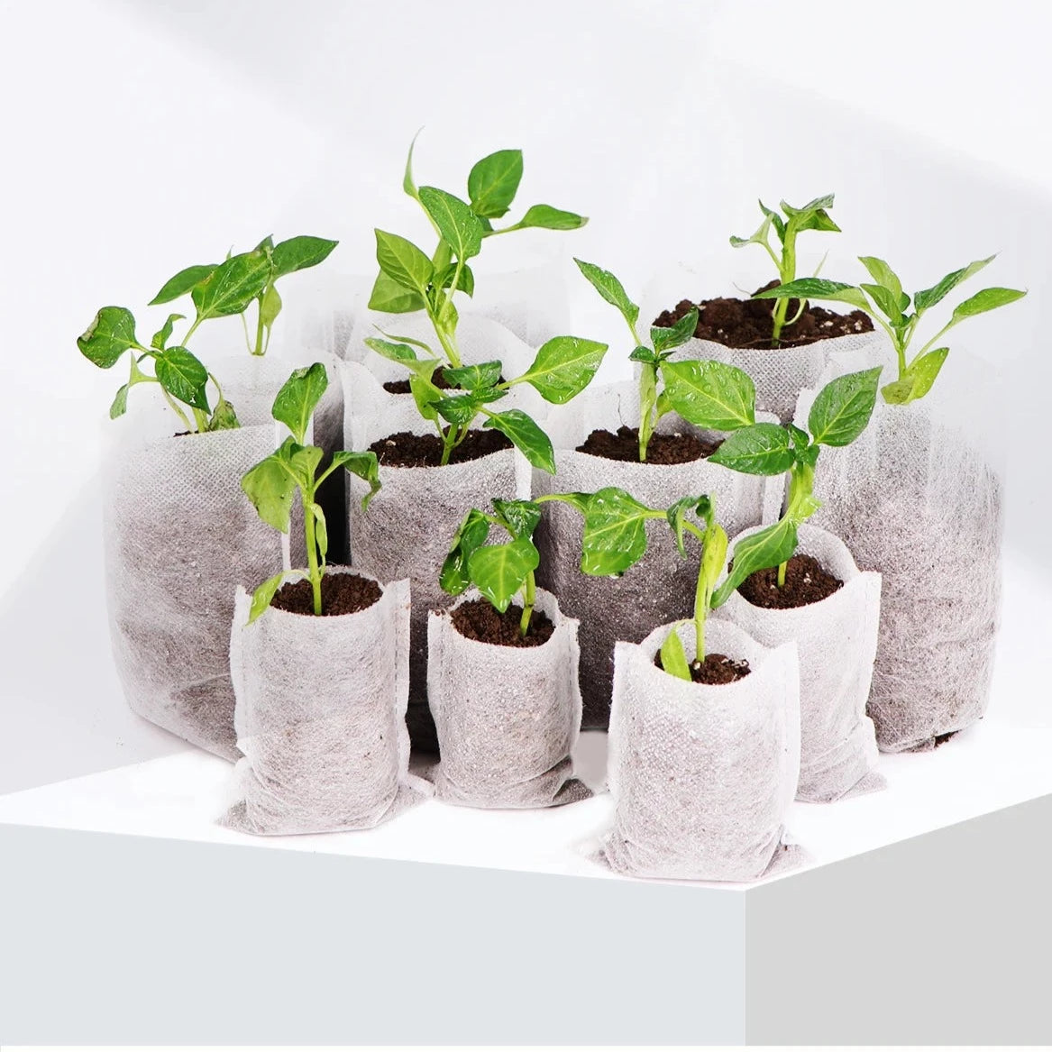 Fabric Nursery Plant Grow Bags